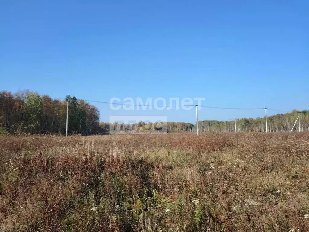 Участок в Тюменская область, Тюменский муниципальный округ, с. ... - Фото 2