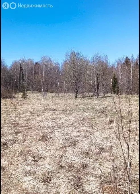 Участок в Новгородская область, Демянский муниципальный округ, деревня ... - Фото 2