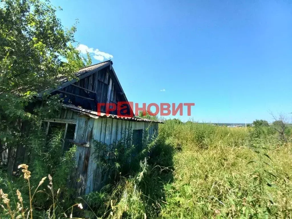 Дом в Новосибирская область, Ордынский район, с. Чингис ул. Кустарная, ... - Фото 0