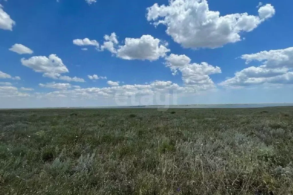 Участок в Крым, Черноморский район, с. Новоивановка  (7.0 сот.) - Фото 0