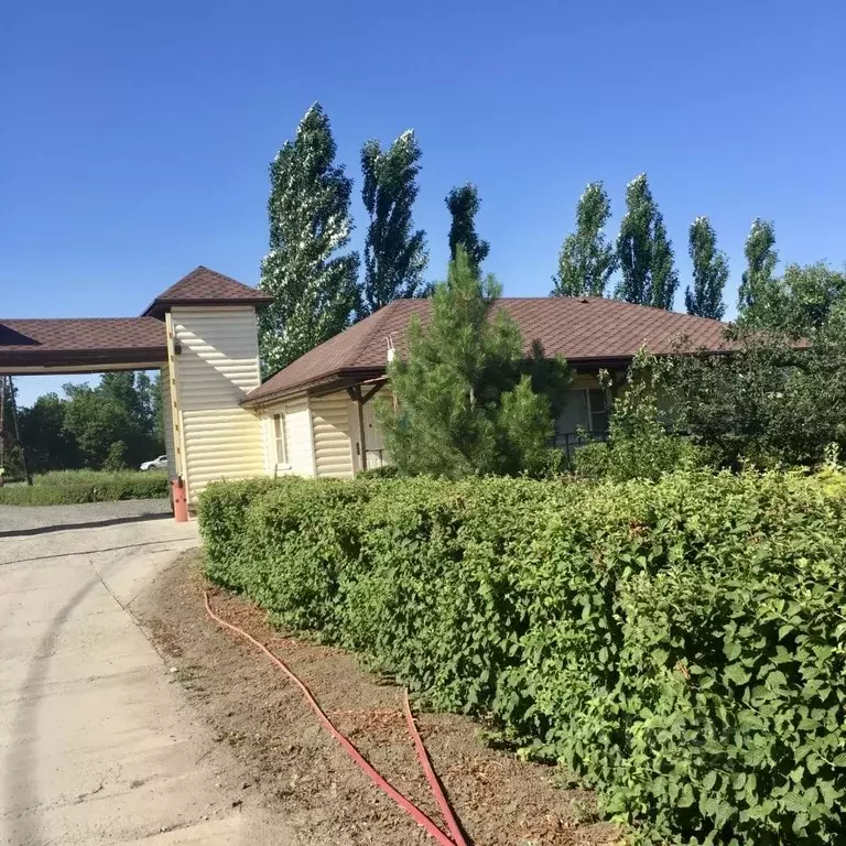 Участок в Волгоградская область, Среднеахтубинский район, Фрунзенское ... - Фото 1