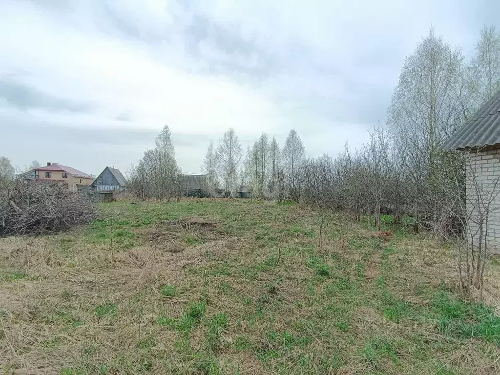 Участок в Смоленская область, Смоленский муниципальный округ, Восход ... - Фото 1