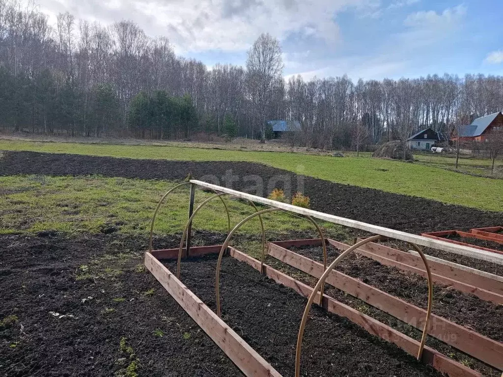 Участок в Кемеровская область, Кемеровский муниципальный округ, с. ... - Фото 1