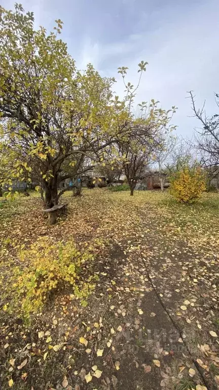 Участок в Саратовская область, Энгельсский район, Красноярское ... - Фото 2