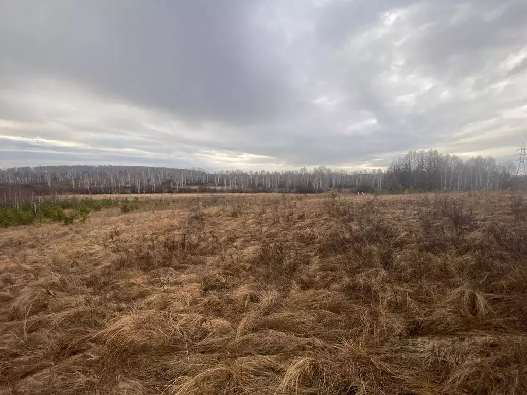 Участок в Челябинская область, Сосновский муниципальный округ М-5 ... - Фото 2