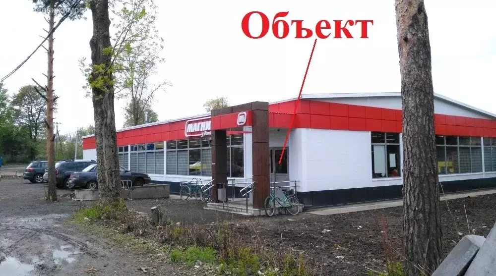 Помещение свободного назначения (541 м) - Фото 1