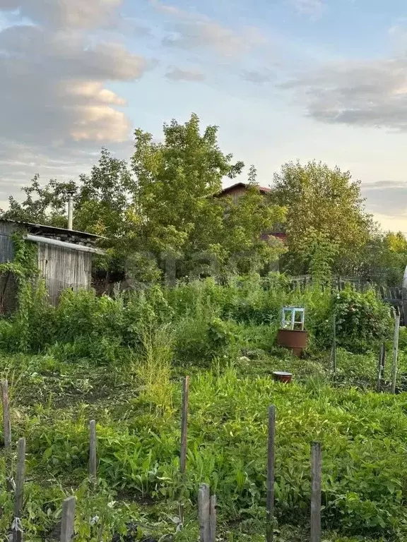 Участок в Омская область, Омск Нефтяник СНТ, 627 (6.9 сот.) - Фото 2