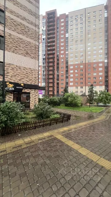2-к кв. Красноярский край, Красноярск Линейная ул., 118 (33.2 м) - Фото 0