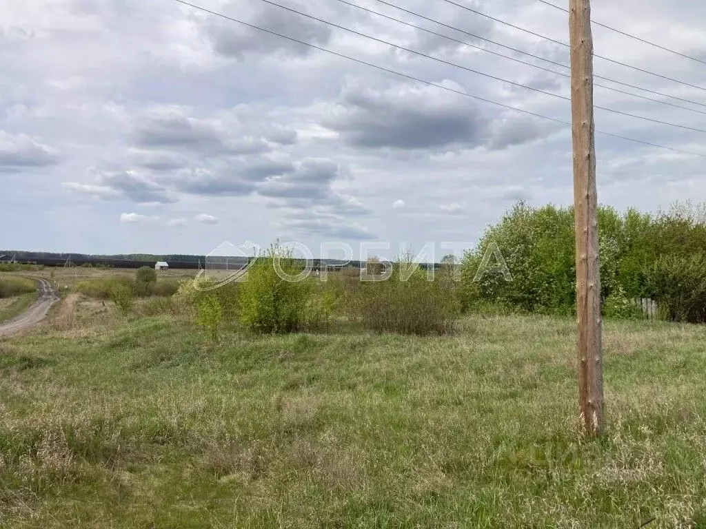 Участок в Тюменская область, Тюменский район, с. Кулига  (8.0 сот.) - Фото 0
