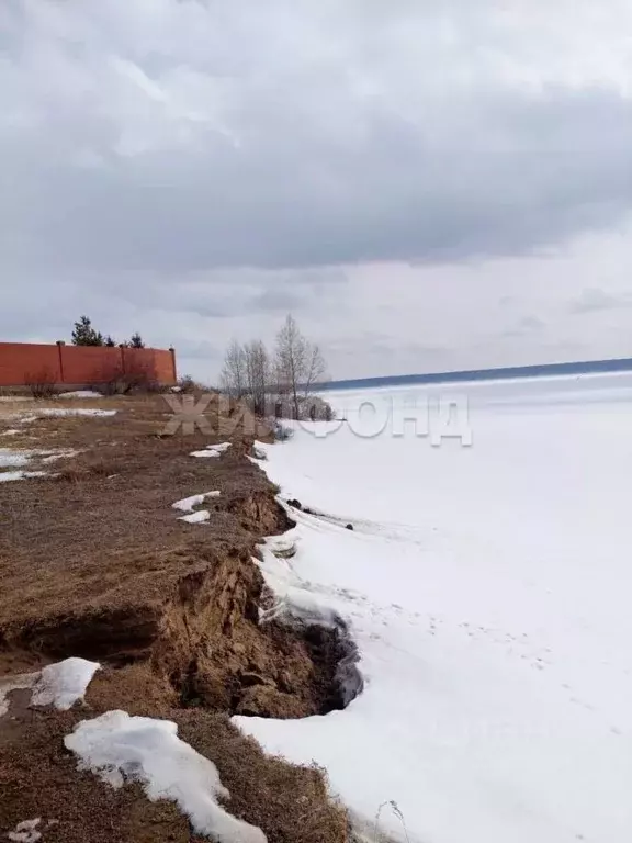Участок в Новосибирская область, Ордынское рп ул. Набережная (12.0 ... - Фото 2