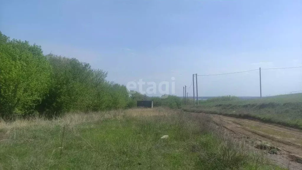 Участок в Саратовская область, Воскресенский район, Елшанское ... - Фото 0