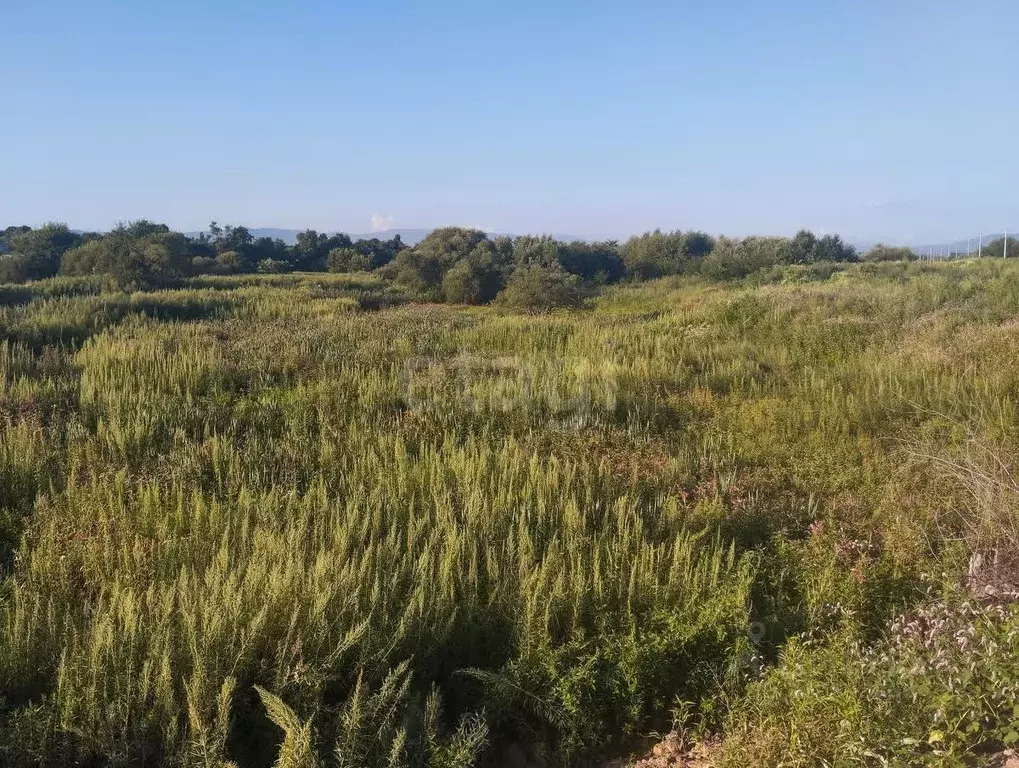 Участок в Приморский край, Артем ул. Чернышевского (12.19 сот.) - Фото 0