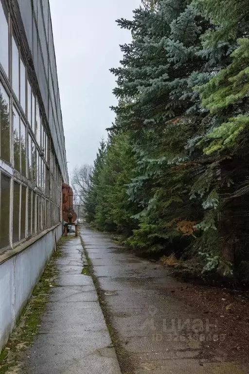 Производственное помещение в Московская область, Дмитров Промышленная ... - Фото 1