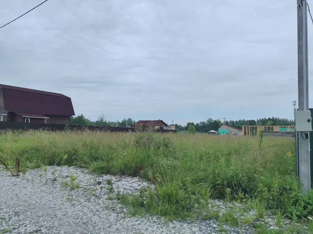 Участок в Московская область, Богородский городской округ, д. Починки ... - Фото 0