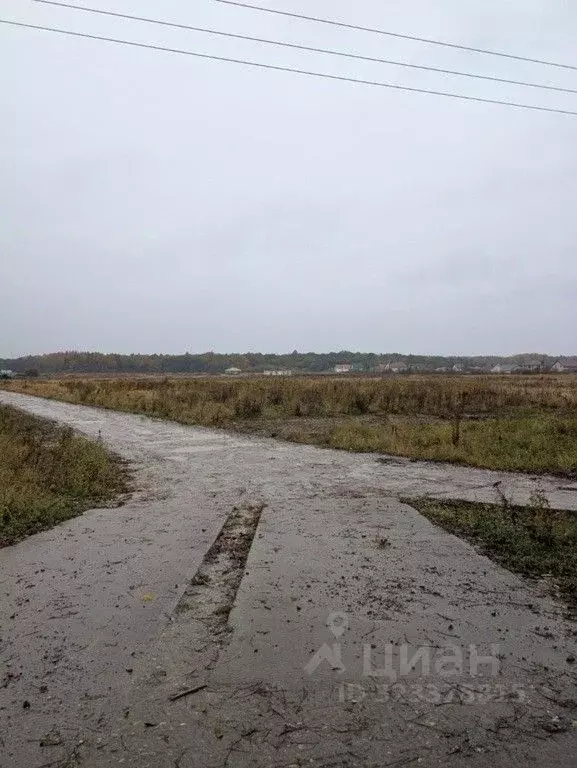 Участок в Калининградская область, Гурьевский муниципальный округ, ... - Фото 2