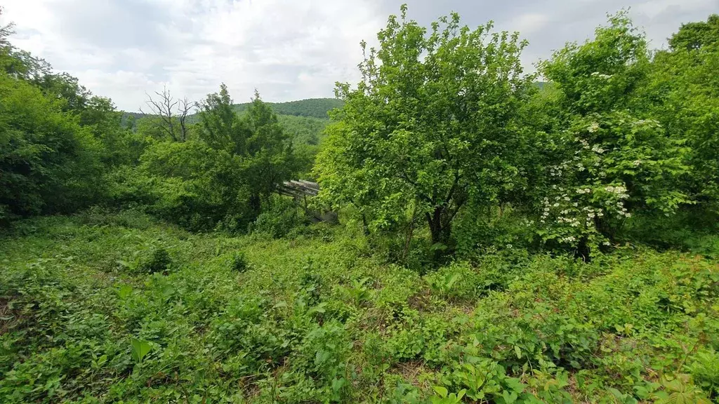 Участок в Краснодарский край, Туапсинский муниципальный округ, Надежда ... - Фото 1