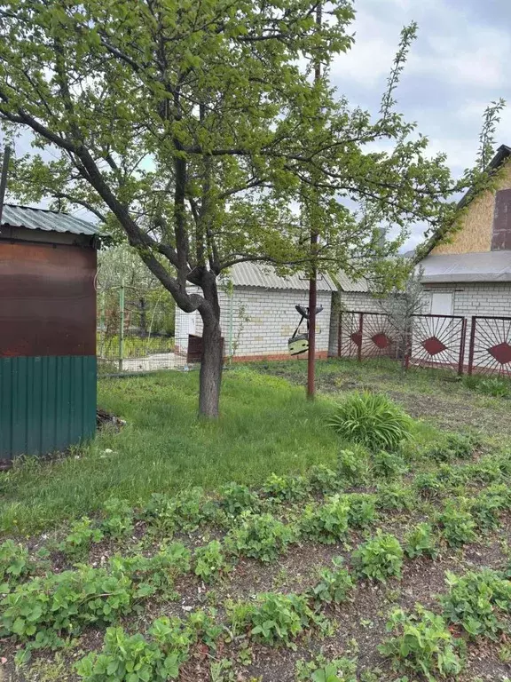 Участок в Саратовская область, Энгельсский район, Красноярское ... - Фото 2