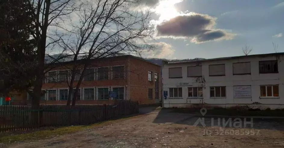 Помещение свободного назначения в Алтайский край, Алтайский район, с. ... - Фото 2