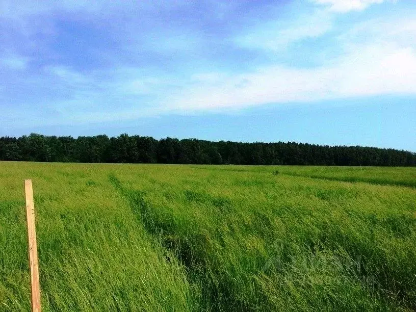 Участок в Челябинская область, Чебаркульский район, с. Кундравы  ... - Фото 0