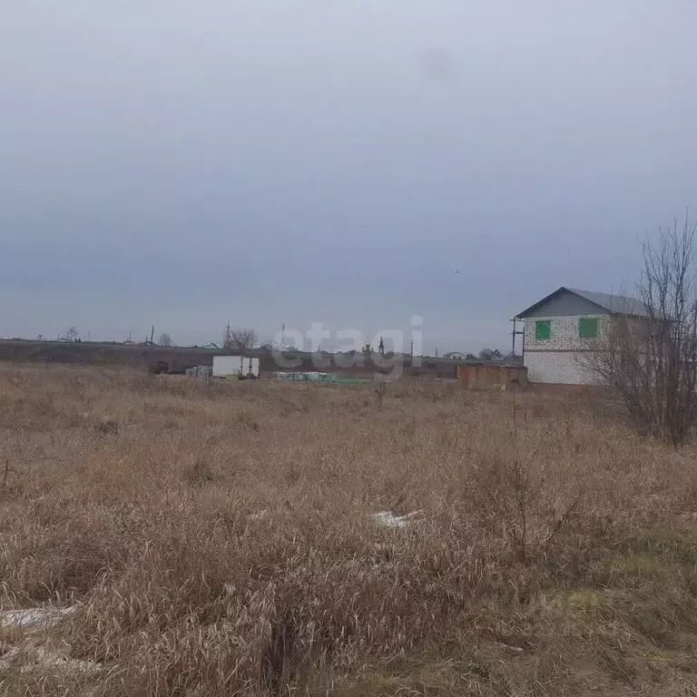 Участок в Курская область, Курский район, Брежневский сельсовет, д. ... - Фото 1