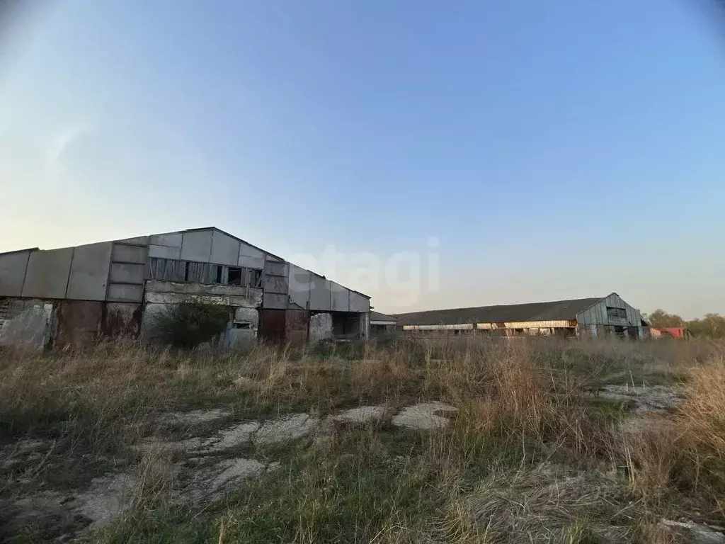 Склад в Московская область, Коломна городской округ, с. Мячково, ... - Фото 0