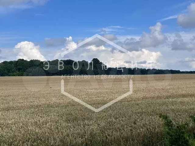 Участок 4,5 га (СНТ, ДНП) - Фото 0