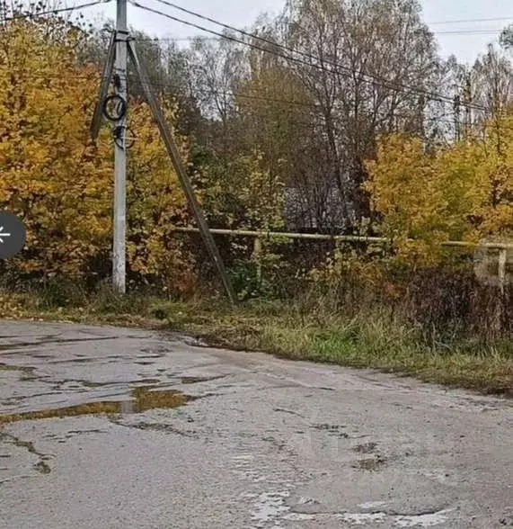Участок в Ярославская область, Ярославский муниципальный округ, пос. ... - Фото 2