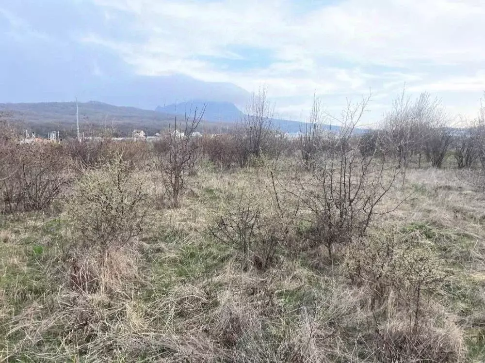 Участок в Ставропольский край, Предгорный муниципальный округ, Воронов ... - Фото 1