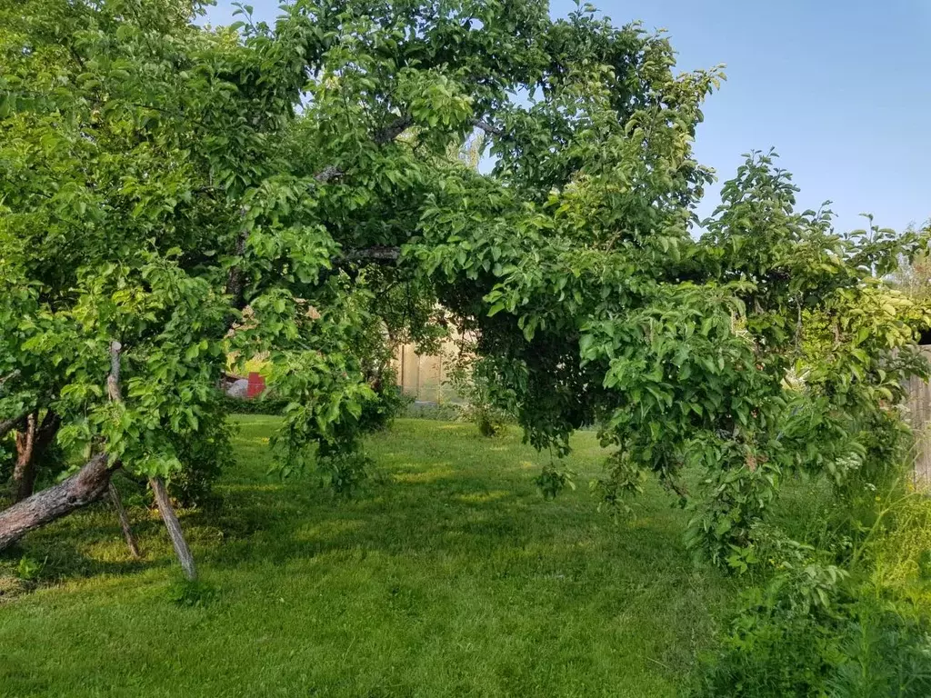 Участок в Ленинградская область, Гатчинский муниципальный округ, ... - Фото 1