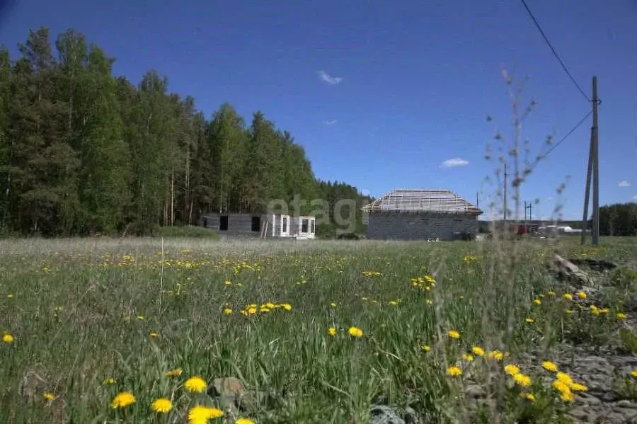 Участок в Свердловская область, Белоярский городской округ, пос. ... - Фото 0