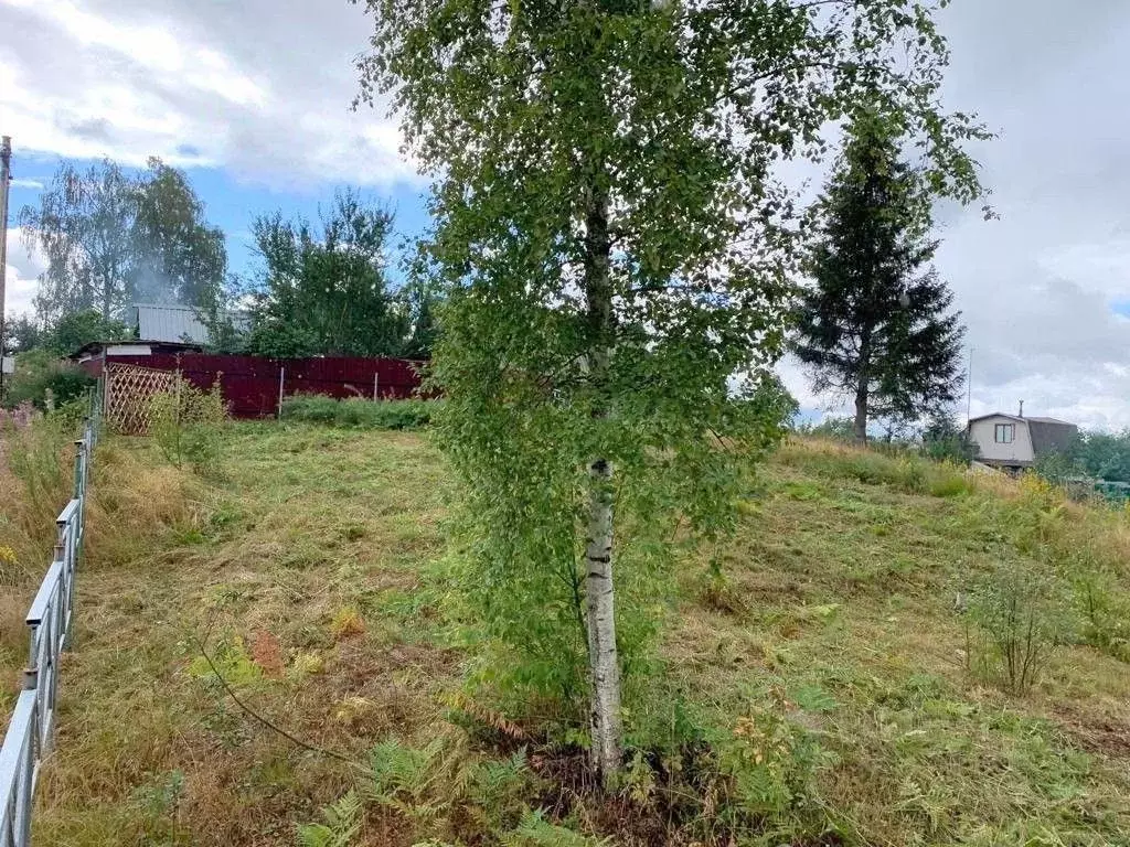 Участок в Ленинградская область, Выборгский район, Первомайское с/пос ... - Фото 1