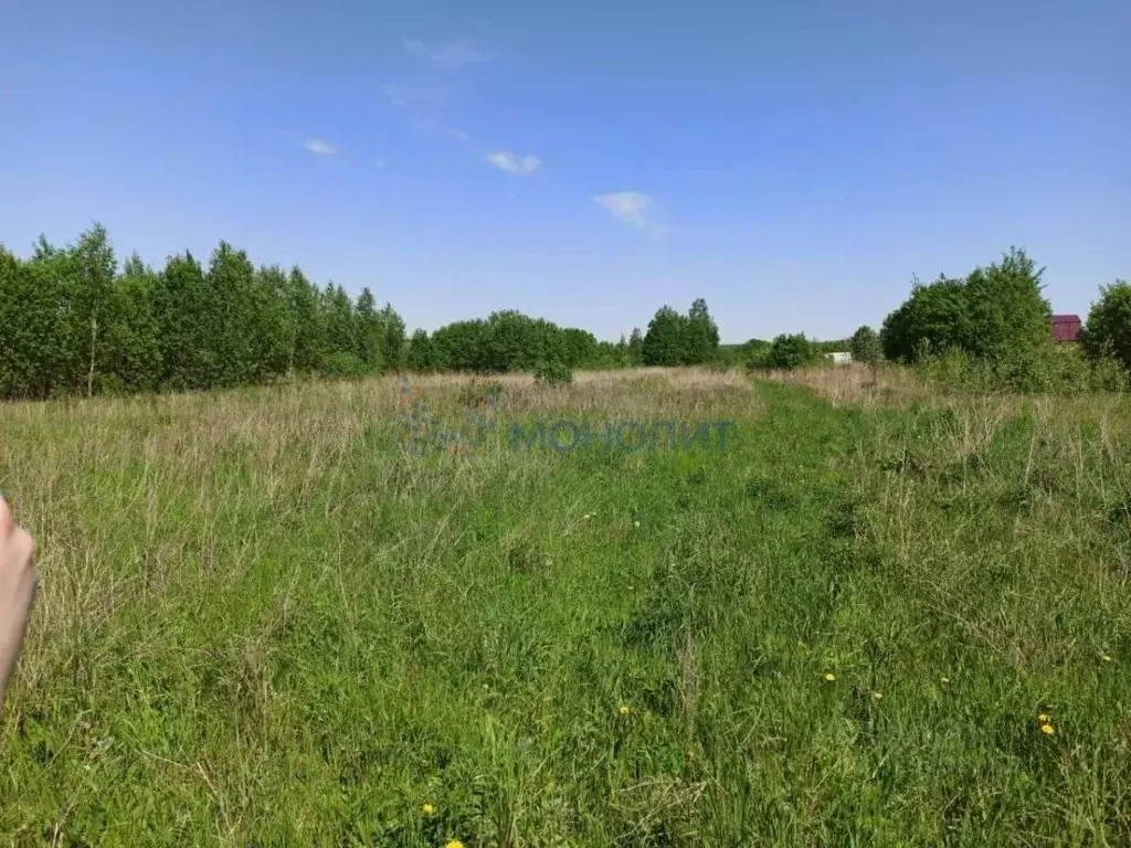 Участок в Нижегородская область, Богородский муниципальный округ, с. ... - Фото 2
