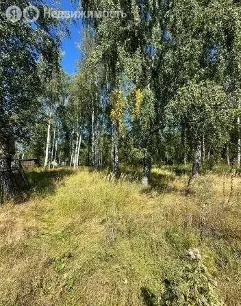 Участок в Коломна, садовое товарищество Старт, Средняя улица (6 м) - Фото 1