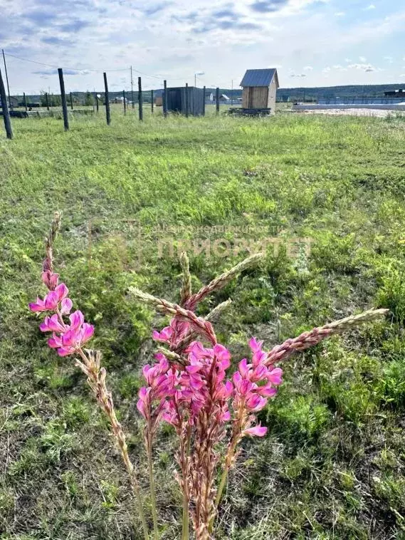 Участок, 10 сот., сельхоз (снт или днп) - Фото 0