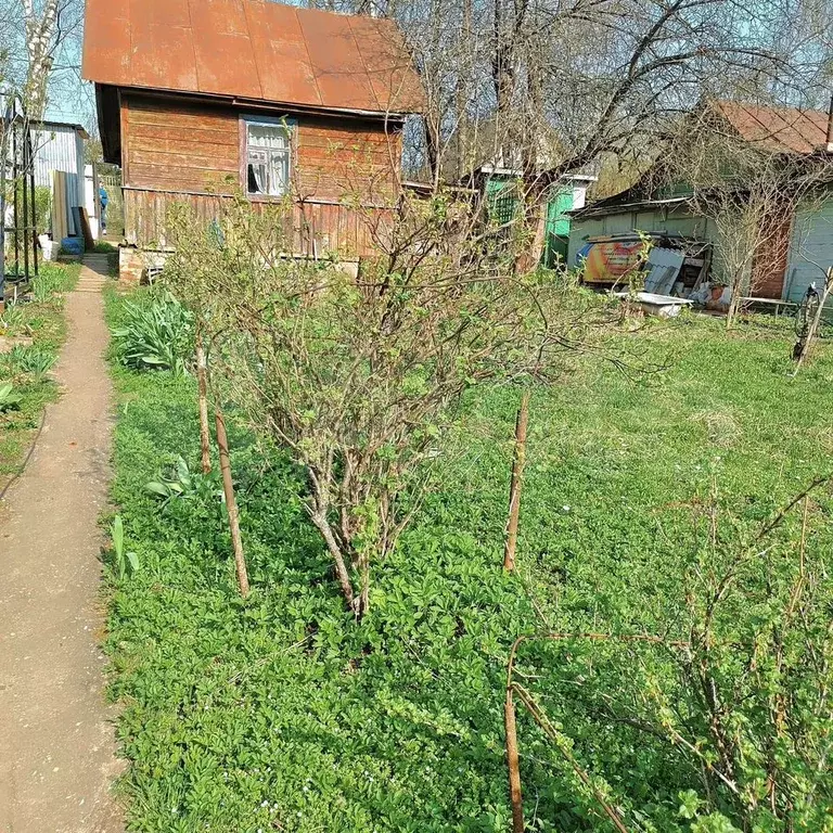Участок 5,5 сот. (ИЖС) - Фото 0