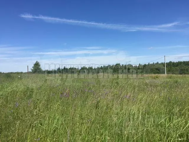 Участок в Смоленская область, Смоленск Подснежник садоводческое ... - Фото 0