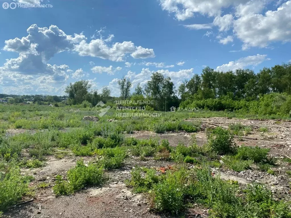 Участок в Рязанская область, Касимовский муниципальный округ, рабочий ... - Фото 1