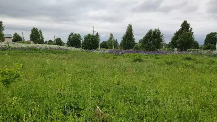Участок в Московская область, Клин  (11.0 сот.) - Фото 1