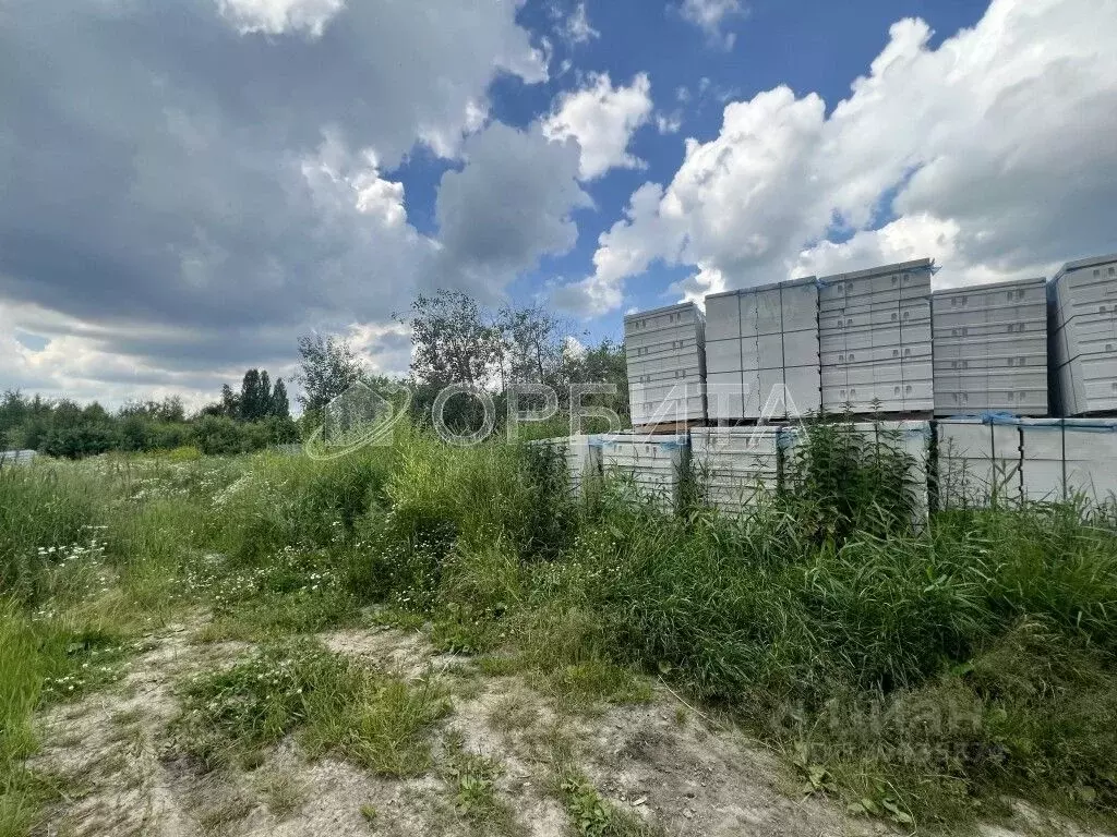 Участок в Тюменская область, Тюмень СОСН Аккумуляторщик-2 тер., ул. ... - Фото 2