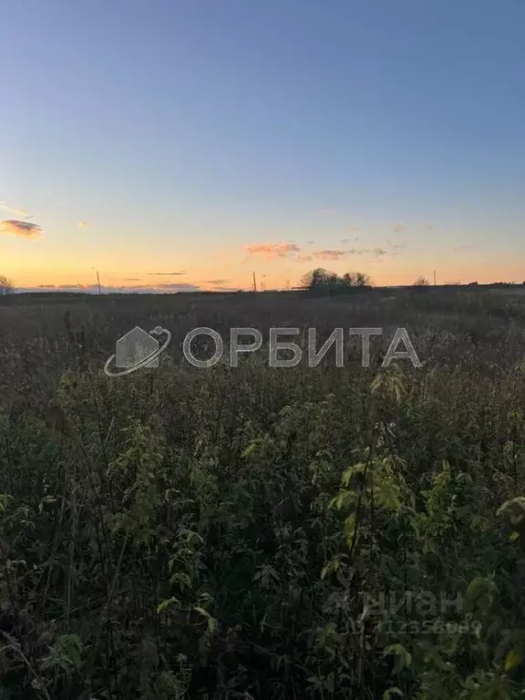 Участок в Тюменская область, с. Ярково  (10.02 сот.) - Фото 0