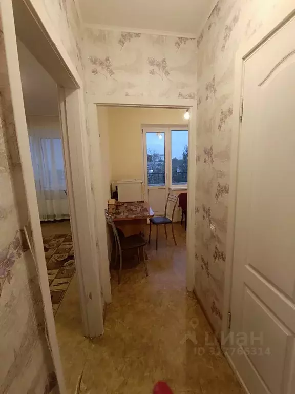 1-к кв. Саратовская область, Саратов проезд 5-й Динамовский, 6 (26.0 ... - Фото 1