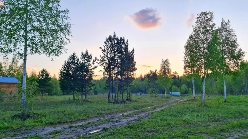 Участок в Томская область, Томский район, д. Кисловка ул. Надежды (9.1 ... - Фото 0