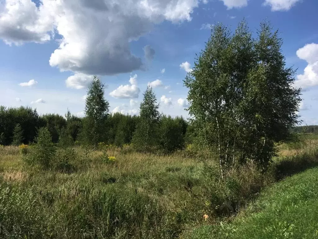 Участок в Московская область, Ступино городской округ, с. Васильевское ... - Фото 0