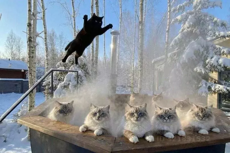 Дом в Московская область, Клин городской округ, ДНП Радости Парк 1 ... - Фото 2