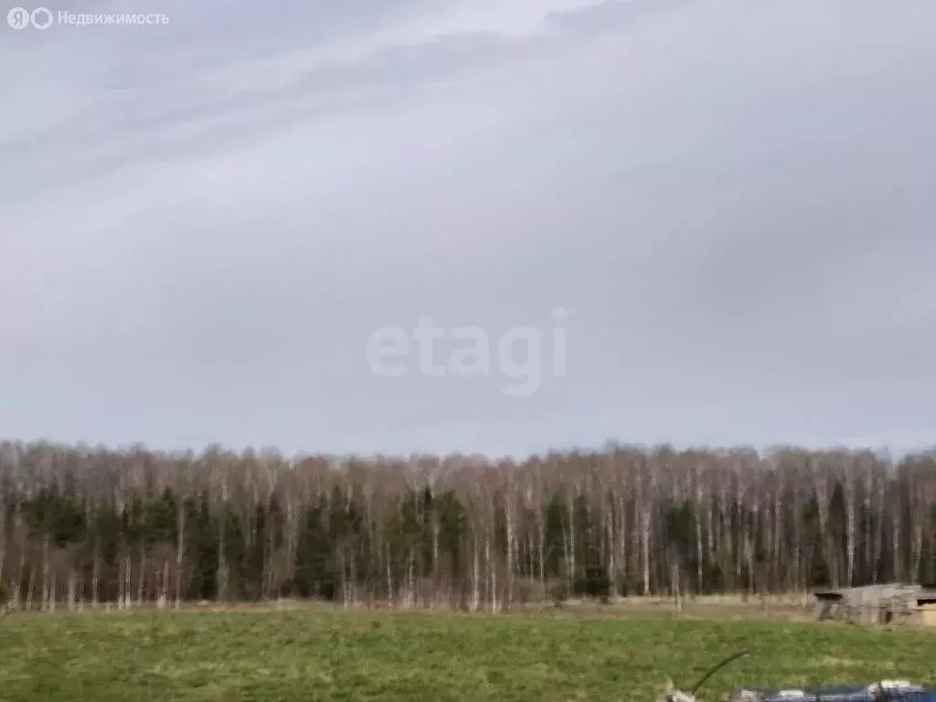 Участок в Владимирская область, Петушинский муниципальный округ, ... - Фото 1
