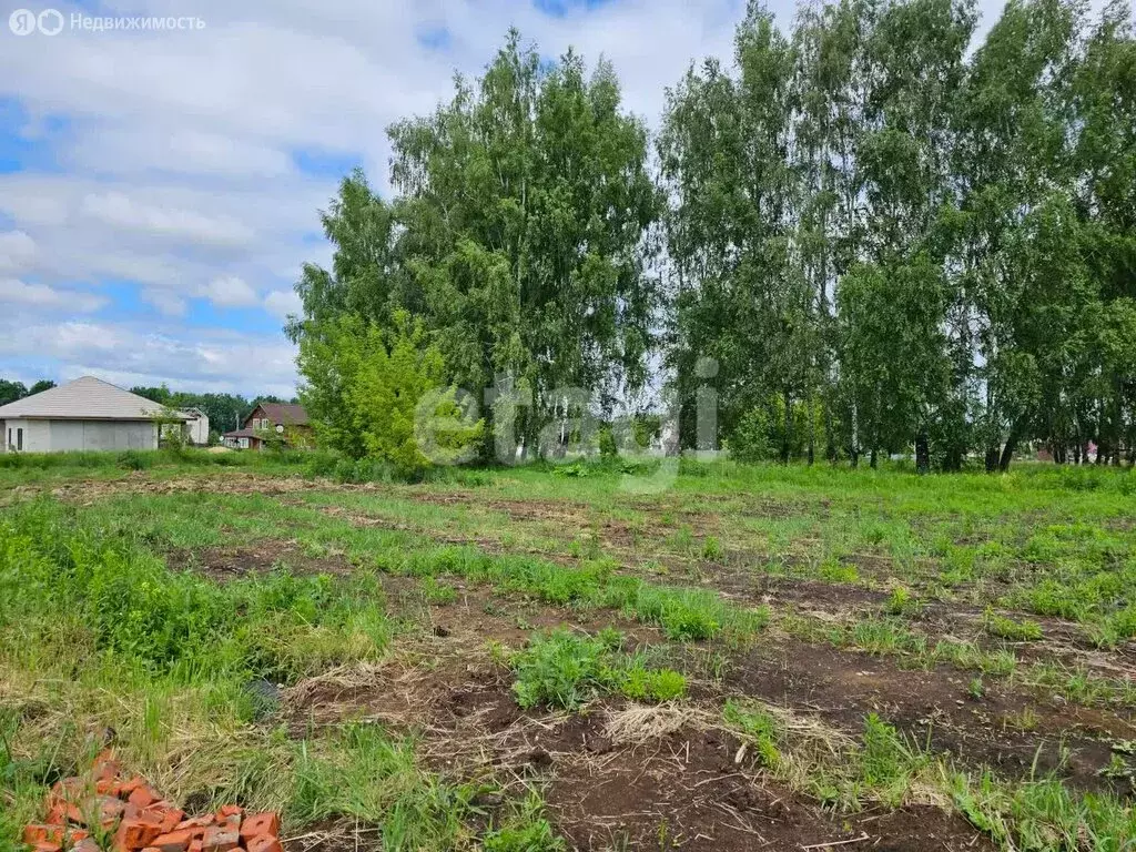 Участок в Тульская область, муниципальное образование Тула, село ... - Фото 1