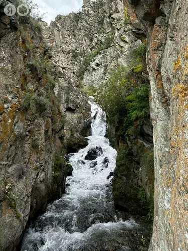 Участок в Чемальский район, село Куюс (10 м) - Фото 1