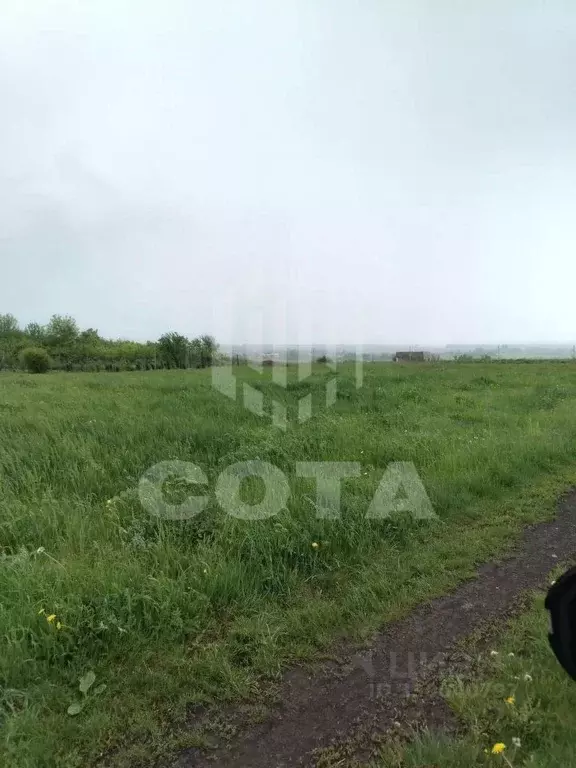 Участок в Воронежская область, Новоусманский район, ... - Фото 2