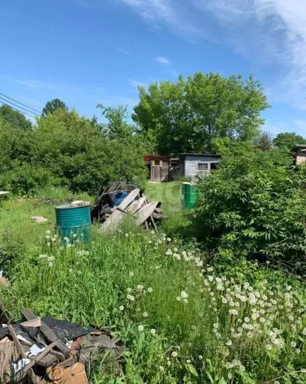 Участок в Новосибирская область, Новосибирск Садовод Сибирь 2 СНТ, 60 ... - Фото 1