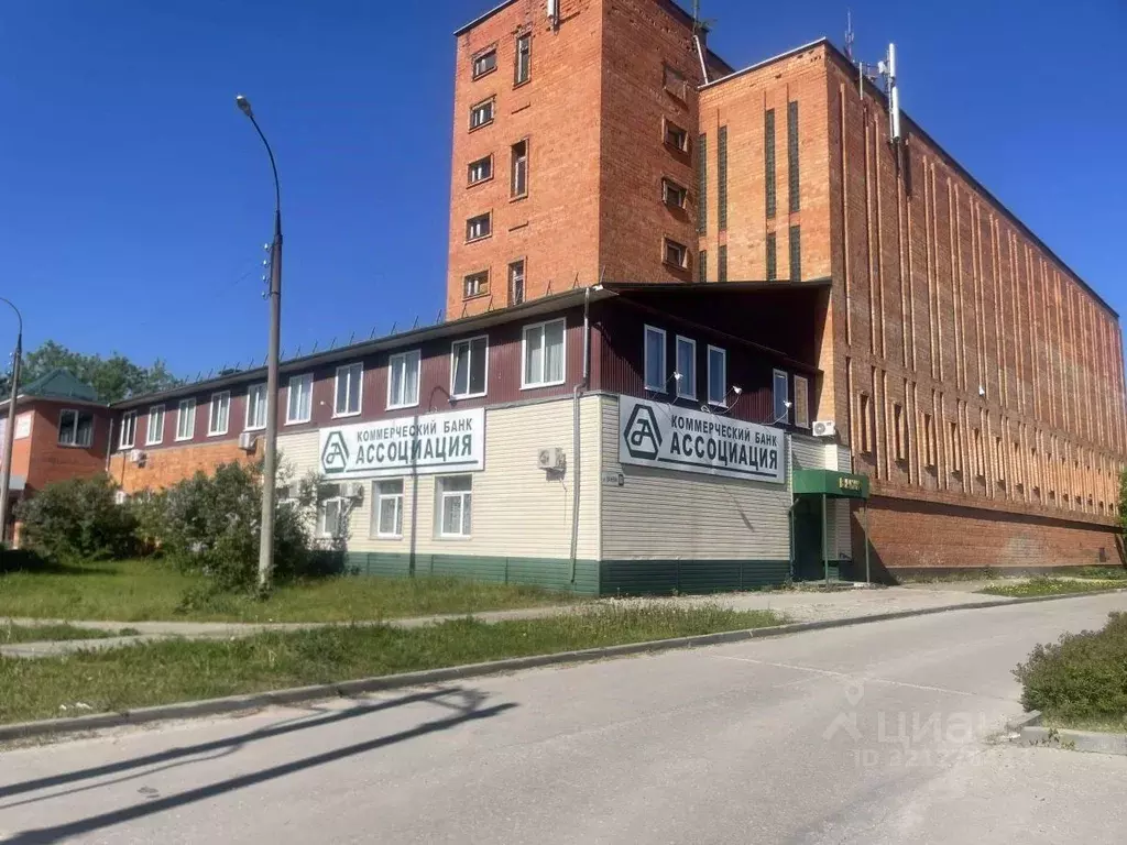 Помещение свободного назначения в Нижегородская область, Бор ул. ... - Фото 1
